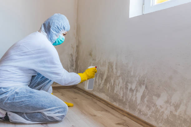 Licensed Crawl Space Mold Removal service in Richmond, MI - WQB Mold Removal