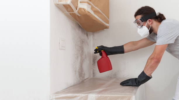 Professional Crawl Space Mold Removal technician working in Richmond, MI