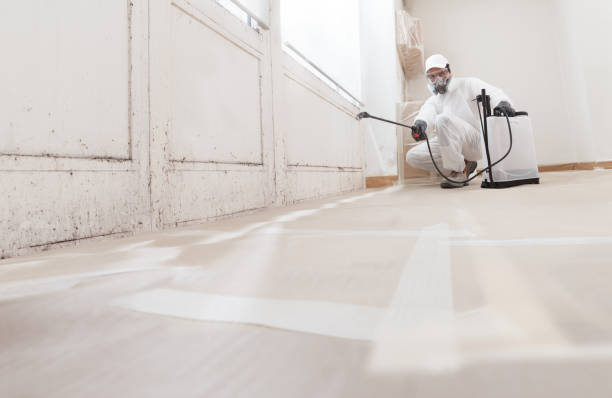 Trusted Crawl Space Mold Removal service in Richmond, MI - WQB Mold Removal