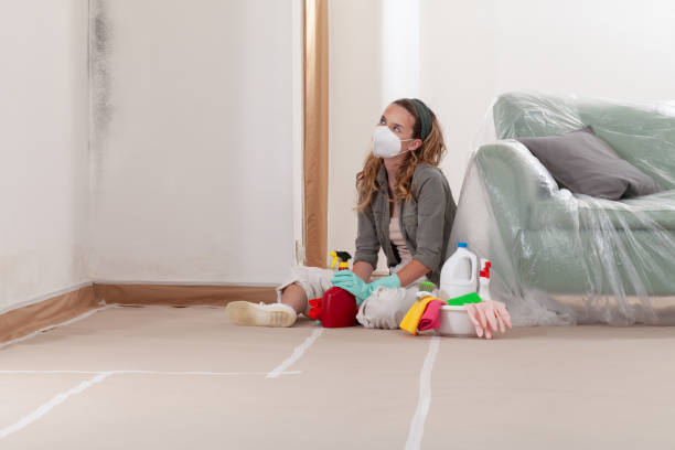 Reliable Crawl Space Mold Removal contractor in Richmond, MI by WQB Mold Removal