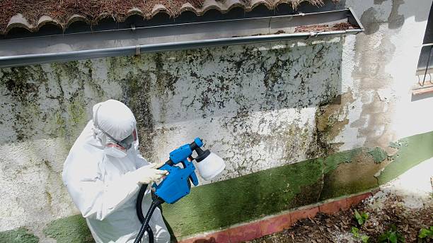 Top rated local Crawl Space Mold Removal specialists in Richmond, MI